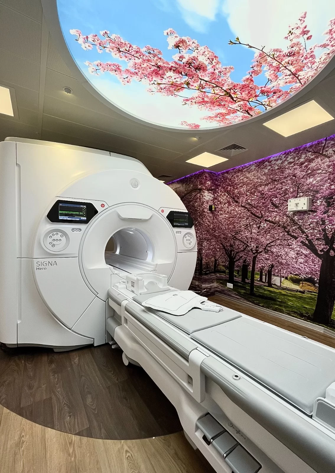 Singapore Health screening - MRI Scanner