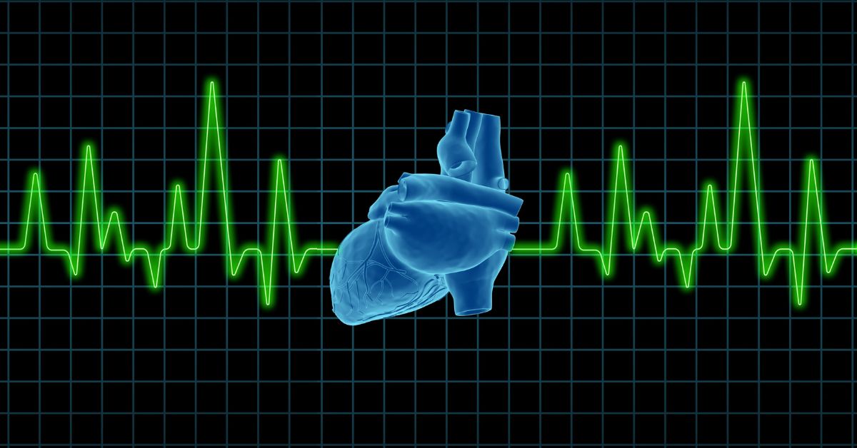Heart Screening